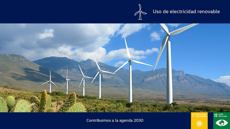 Ventiladores eólicos que forman parte de un parque de energía limpia en México. 
