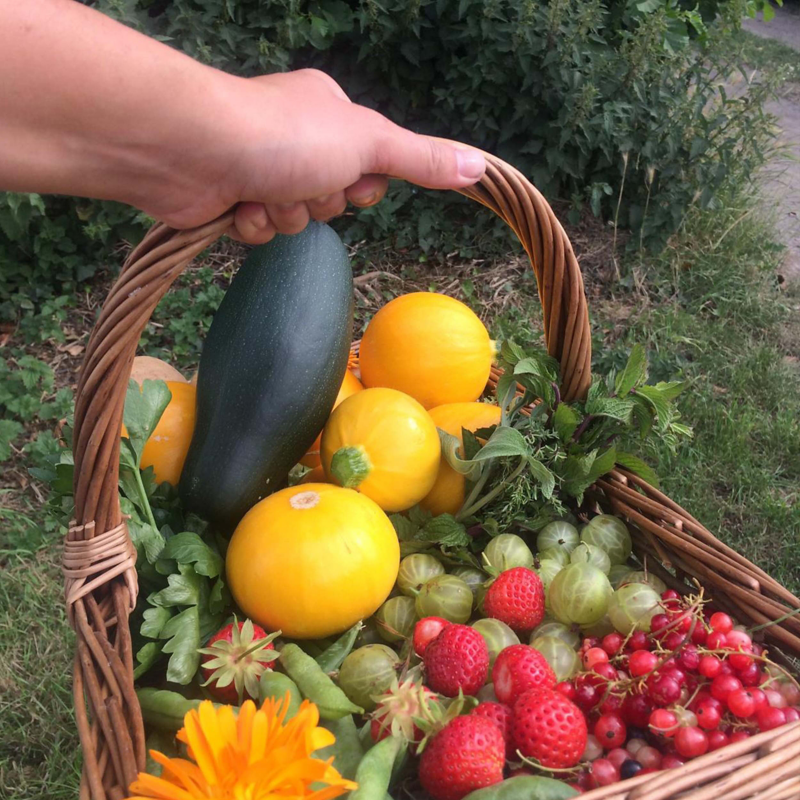 Photo of Frances Tophill holding a basket of fruit. 