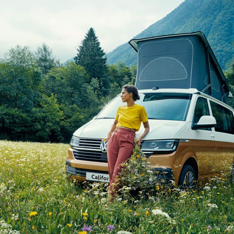 A woman leaning on a Grand California in a field