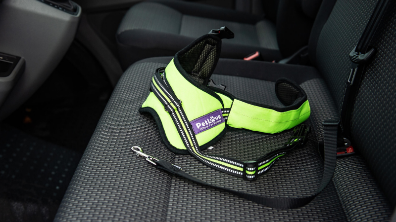 a dog harness on the seat inside a vw van