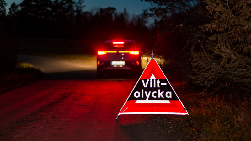 Skylt med texten Viltolycka bakom en bil med aktiverat bromsljus