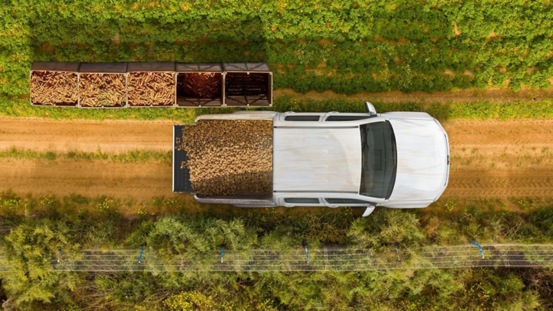 Camioneta tipo pickup VW Amarok para trabajo en el campo