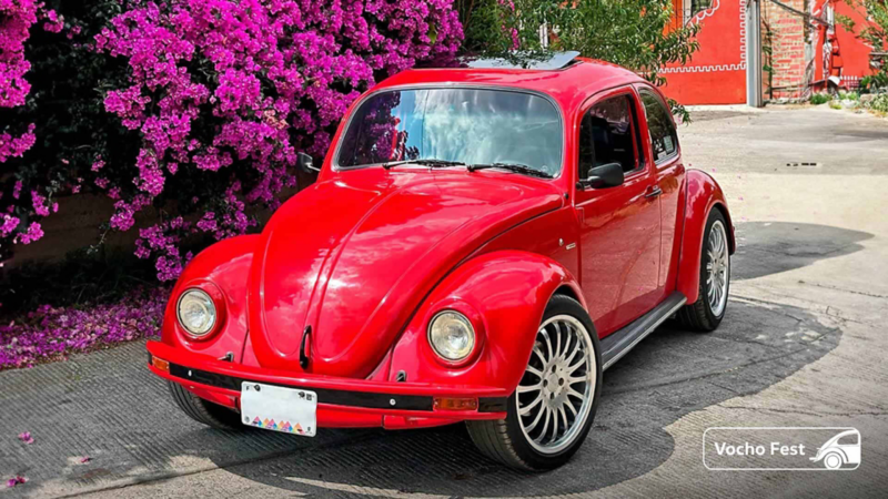 Vocho en México. Escarabajo de color rojo cerca de flores de buganvilias. 