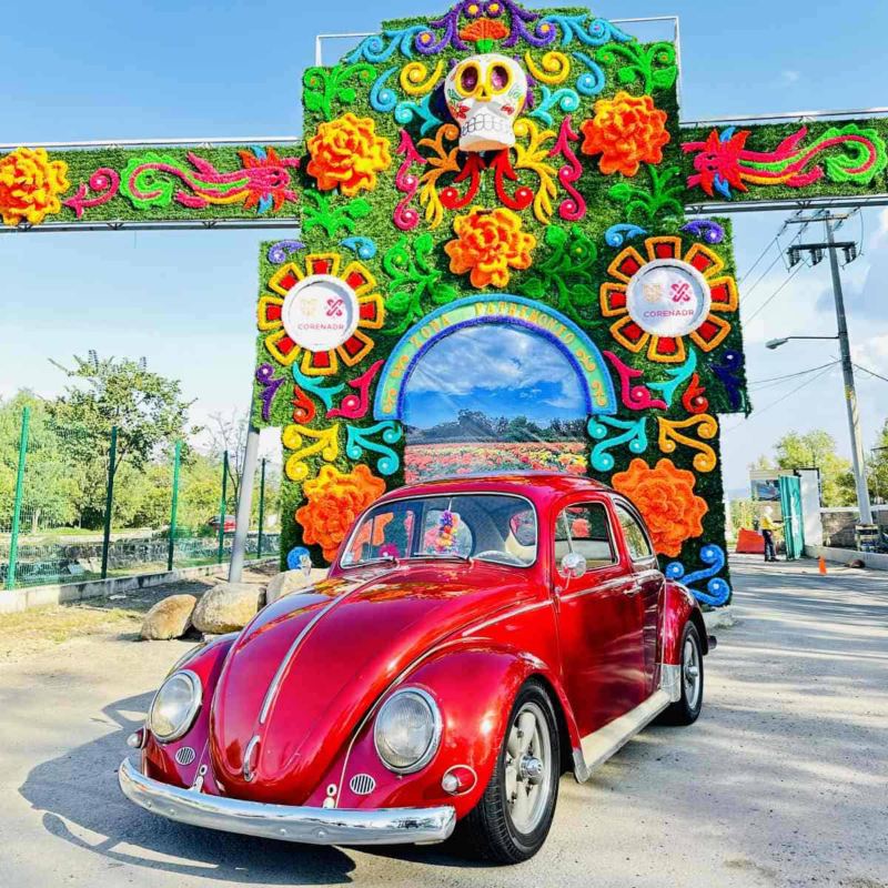 Vocho rojo estacionado frente a arco floral de Día de Muertos.