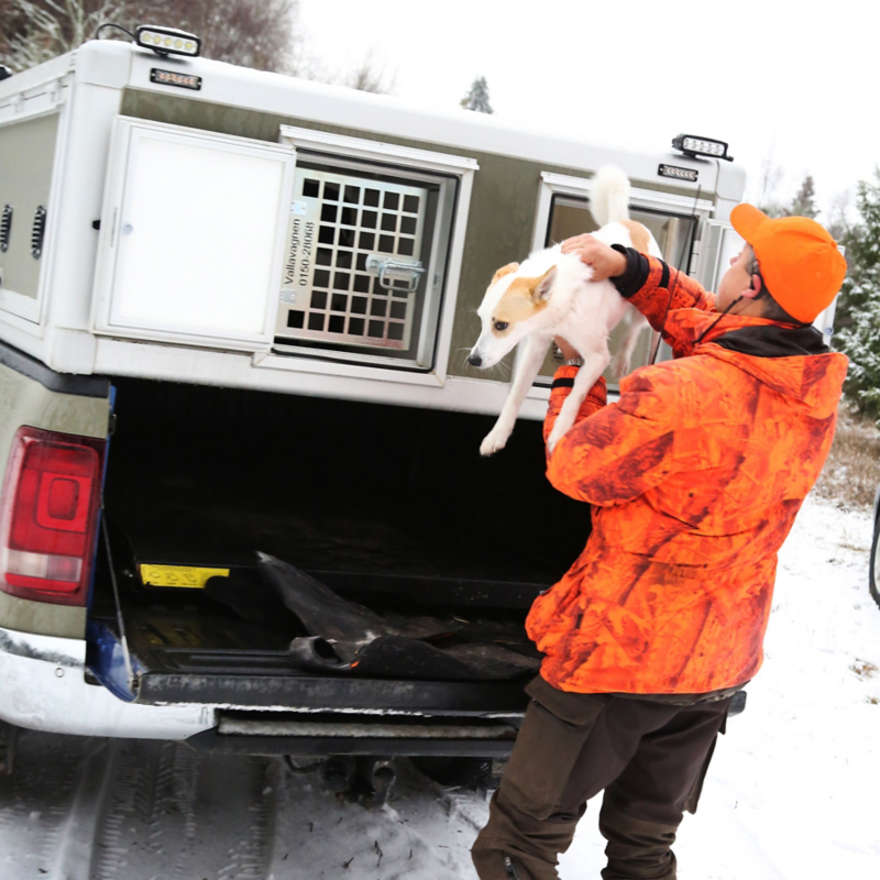 Specialbyggd VW Amarok med skräddarsydd hundbur för jägare
