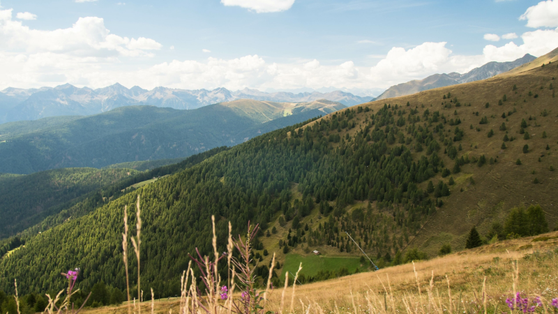 Naturen vid Lärchwiese Naturcamping.