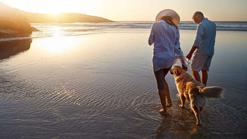 Spaziergang mit Hund am Strand.