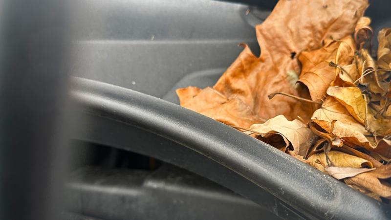 Ansammlung von trockenem Herbstlaub im Wasserkasten unter der Windschutzscheibe. Beim Frühjahrs-Check muss dieses Laub dringend entfernt werden, um verstopfte Abläufe und Wassereinbruch in den Innenraum zu verhindern.