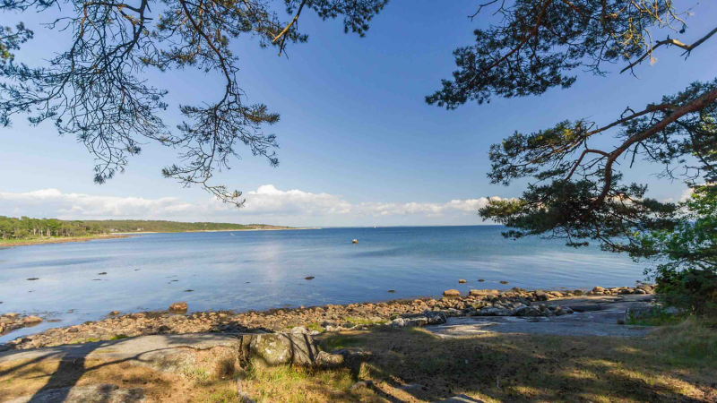 Southern Swedish coast.