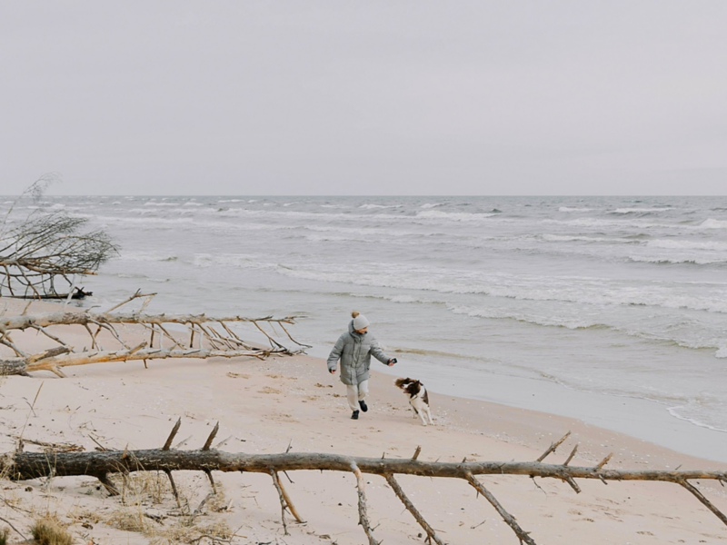 Hund am Strand.