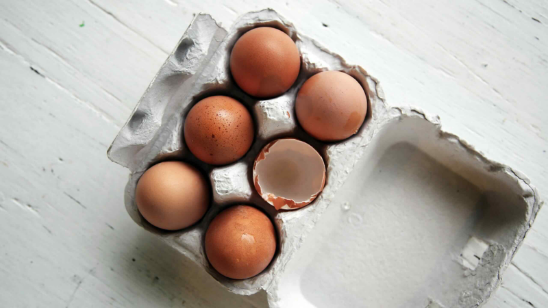 Egg carton with eggs.
