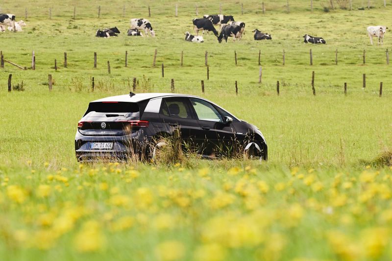Ein VW ID.3 fährt durch Wiesen, im Hintergrund weiden Kühe. 
