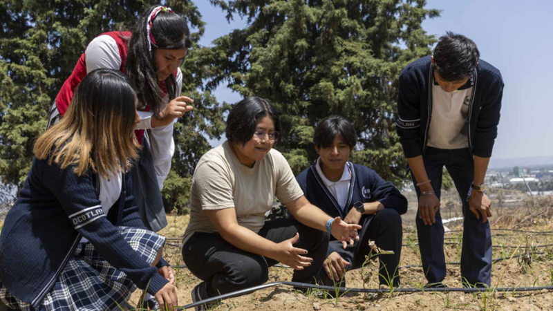 Estudiantes de una escuela realizan una práctica de estudio en campo abierto. 
