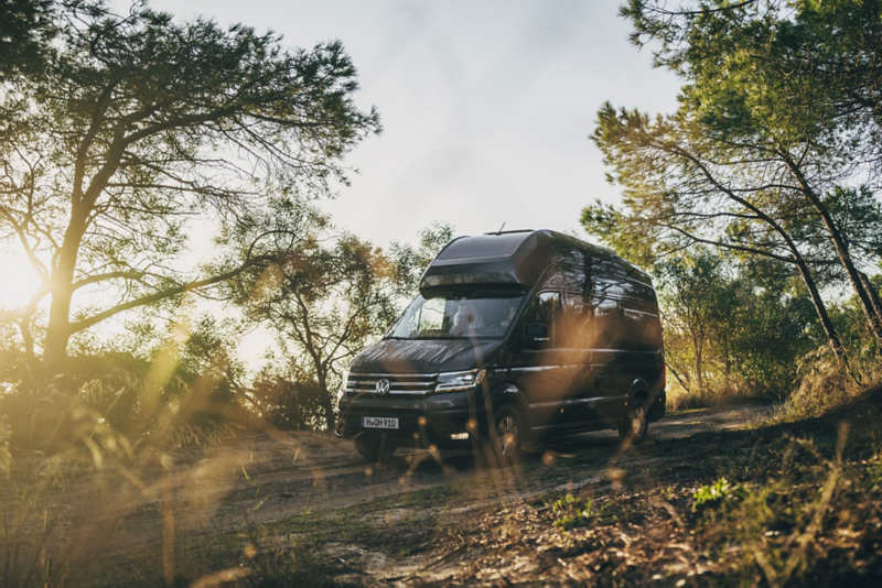 Ein VW Grand California fährt bei tiefstehender Sonne über einen Waldweg. Der Lohn nach dem erfolgreichen Frühjahrs-Check: Der Start in den ersten Camping-Urlaub der Saison.