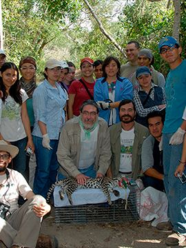 Equipo realizando investigación científica para conservación biológica para concurso Por Amor a México de VW