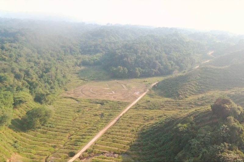 Zona "Las Margaritas" preservada con sistema de producción, cultivo y transformación de bambú para desarrollo económico