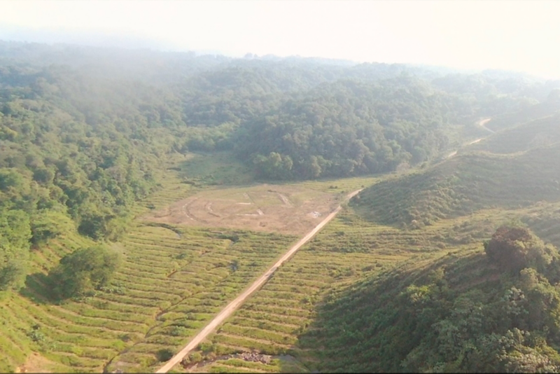 Zona "Las Margaritas" preservada con sistema de producción, cultivo y transformación de bambú para desarrollo económico