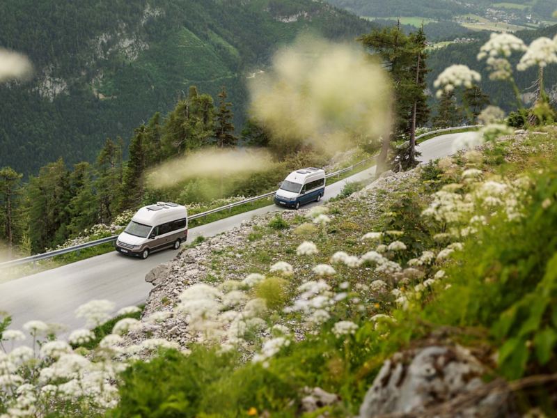 Två VW Grand California kör i bergsmiljö
