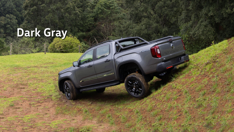 Amarok Dark Label color Dark Gray