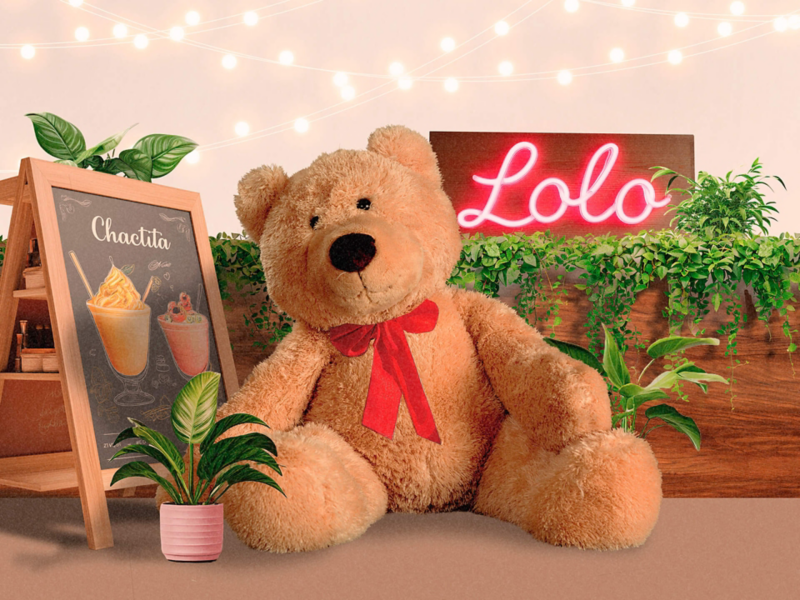 Lolo, el oso conductor de Chachita, y quien se lleva todas las miradas