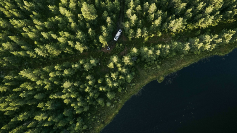 Drönarbild över en VW California campingbil som står parkerad i skogen