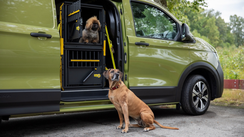 Hundburar i en VW Transporter. En hund sitter i buren och en annan sitter utanför skåpbilen.