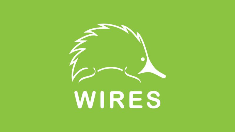 Wires logo