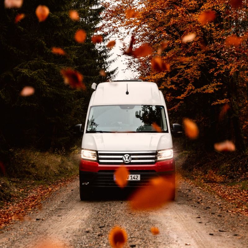 Ein VW fährt im Herbst durch eine Waldlandschaft.