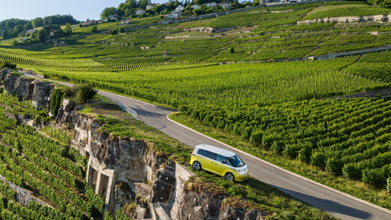L'ID.Buzz se trouve dans la rue, entre les vignes.