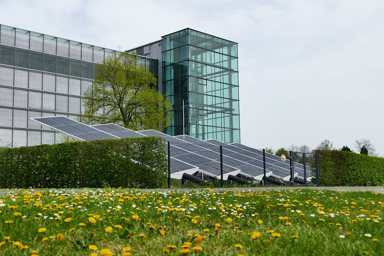 Solarpanele auf einer Blumenwiese mit teilen der Gläsernen Manufaktur im Hintergrund