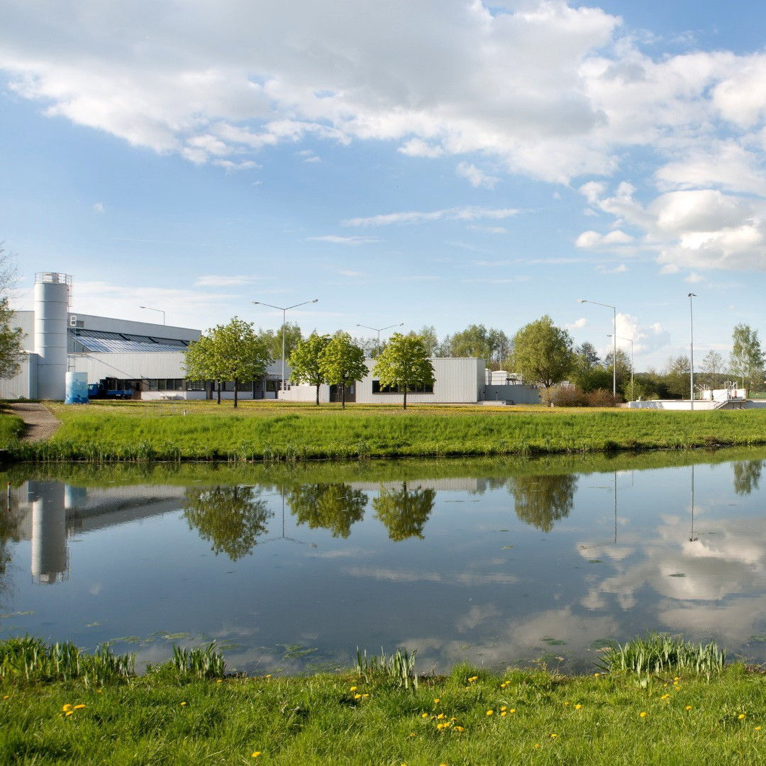 Bild Werk Zwickau Wiese Wasser
